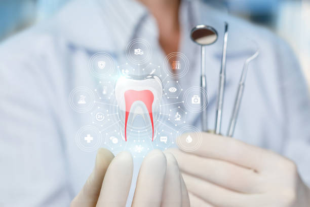 Best Full Mouth Reconstruction  in Lynnwood Pricedale, PA